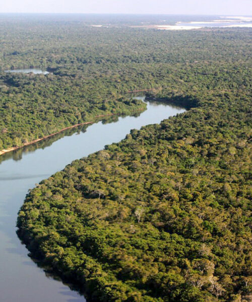 Plano integrado reduz queimadas no Parque Estadual do Cantão em 2025, aponta governo de Tocantins