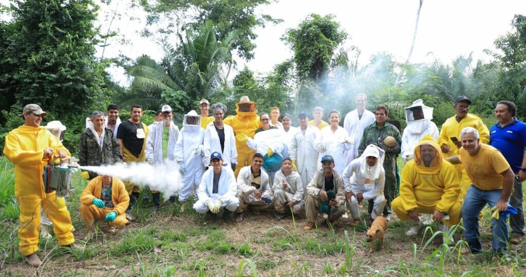 Diagnóstico indica fortalecimento da cadeia produtiva do mel no Acre com apoio do Programa REM