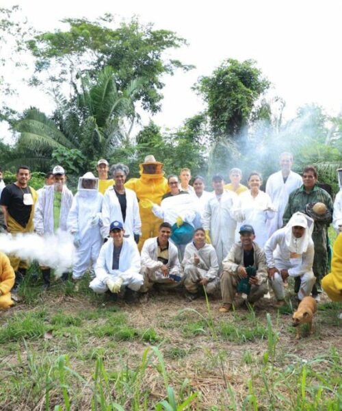 Diagnóstico indica fortalecimento da cadeia produtiva do mel no Acre com apoio do Programa REM