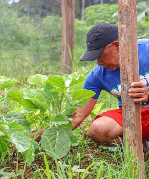 Prefeitura de Rio Branco reforça assistência a agricultores durante período chuvoso