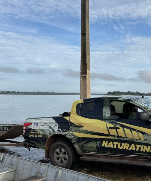Naturatins intensifica Operação Piracema e apreende redes e animais silvestres no norte do Tocantins