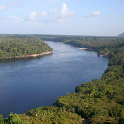 Parceria entre Fapeam e Fapesp amplia agenda científica da bioeconomia na Amazônia