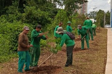 Rio Branco entra no top 10 das capitais com melhor desempenho ambiental no Brasil