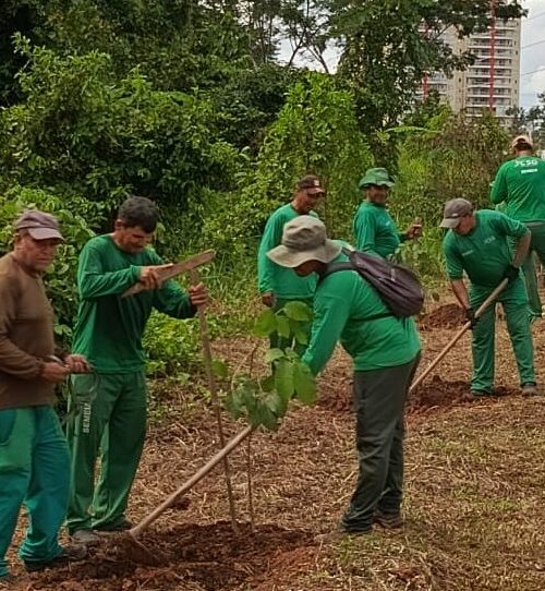 Rio Branco entra no top 10 das capitais com melhor desempenho ambiental no Brasil