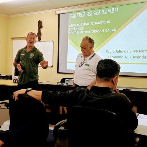 Governo do Acre e Sebrae capacitam técnicos para fortalecer cadeia sustentável do cacau