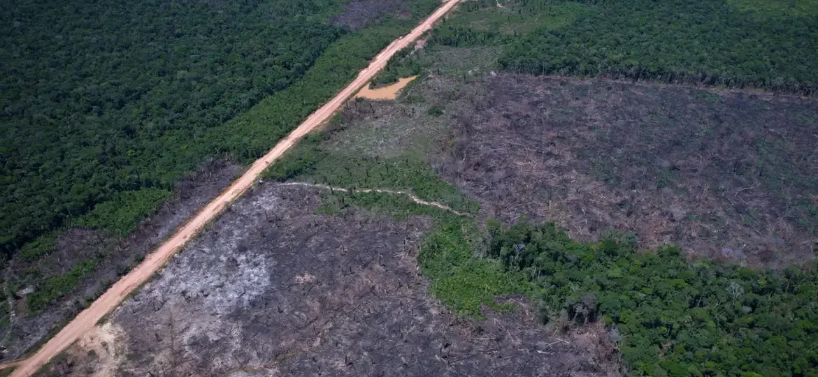 Alertas de desmatamento caem 35% na Amazônia e 6% no Cerrado, aponta Inpe