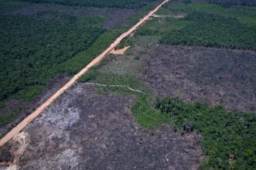 Alertas de desmatamento caem 35% na Amazônia e 6% no Cerrado, aponta Inpe