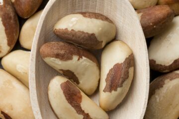 Mulheres e indígenas lideram produção sustentável de castanha no interior do Amazonas