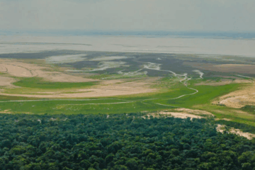 Lei do Licenciamento Ambiental entra em vigor e vira alvo de ações no Supremo