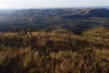Perda de vegetação no Cerrado supera 55% e acende alerta para crise hídrica e biodiversidade