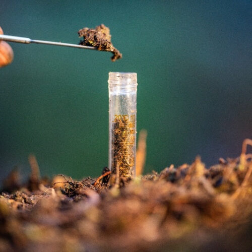 Cuidar do solo é prioridade estratégica: por que a agricultura brasileira precisa de uma visão integrada?