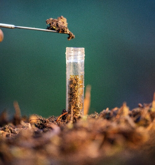 Cuidar do solo é prioridade estratégica: por que a agricultura brasileira precisa de uma visão integrada?