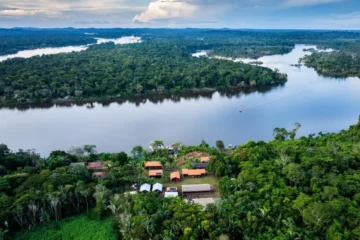 Fundo Amazônia destina R$ 80 milhões para fortalecer produção agrícola comunitária na Amazônia Legal