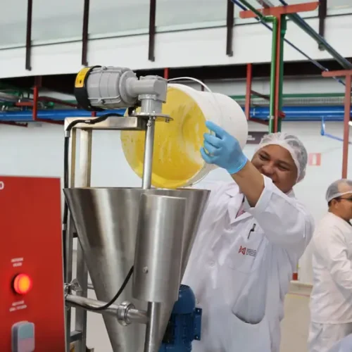 Governo do Pará fortalece bioeconomia com apoio a cooperativas de polpas