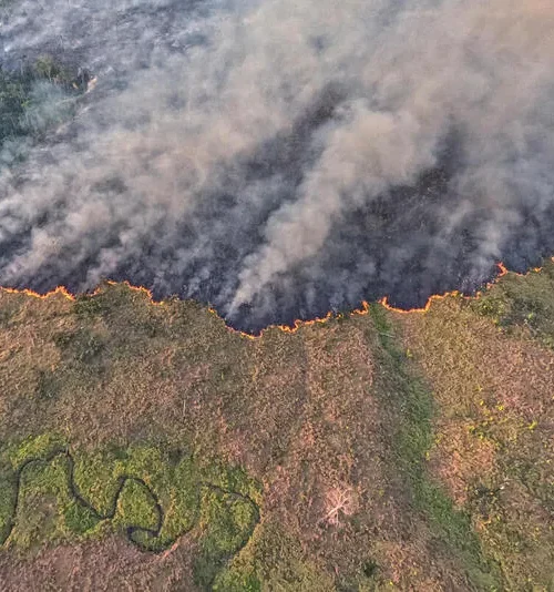 Amazônia registra menor desmatamento para fevereiro em oito anos