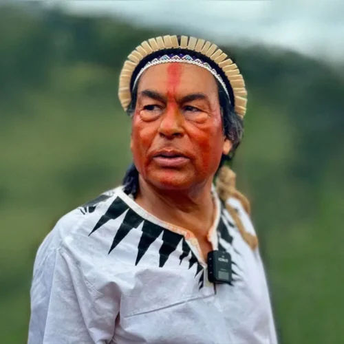 Virada Sustentável homenageia Ailton Krenak com mural no centro de São Paulo