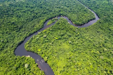 Área queimada no Brasil cai 31% em 2025 e Amazônia registra menor índice em mais de quatro décadas