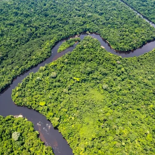 Área queimada no Brasil cai 31% em 2025 e Amazônia registra menor índice em mais de quatro décadas
