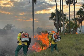 Acre registra 50 focos de queimadas em apenas 48 horas e entra em alerta para período mais crítico do ano