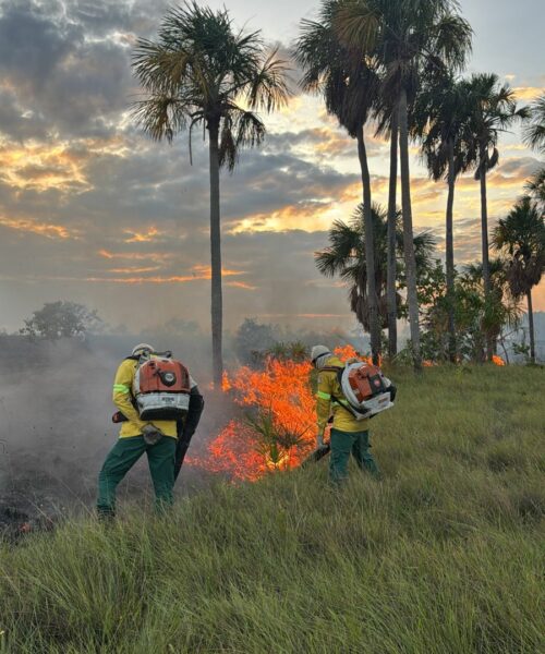 Acre registra 50 focos de queimadas em apenas 48 horas e entra em alerta para período mais crítico do ano