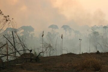 Amazônia Legal concentra quase metade dos conflitos por terra no Brasil, aponta estudo