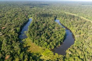 Acre avança para etapa de verificação internacional em programa de créditos de carbono