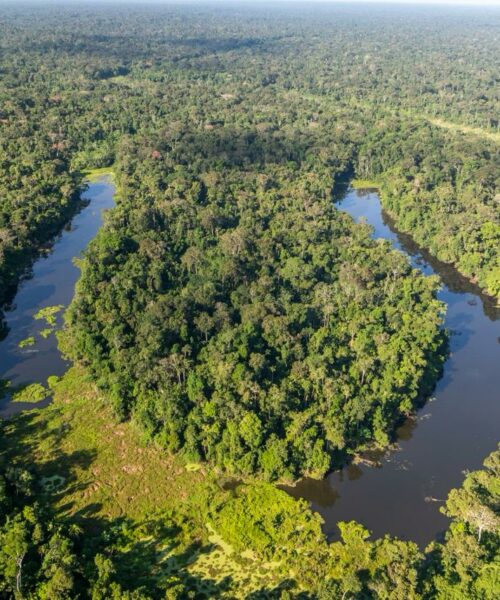Acre avança para etapa de verificação internacional em programa de créditos de carbono