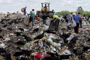 O paradoxo da reciclagem no Brasil: por que os trabalhadores que mais contribuem são os que mais sofrem?