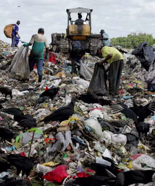 O paradoxo da reciclagem no Brasil: por que os trabalhadores que mais contribuem são os que mais sofrem?