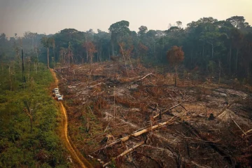 Desmatamento da Amazônia elevou custo da energia em até US$ 1,1 bilhão ao ano, aponta estudo