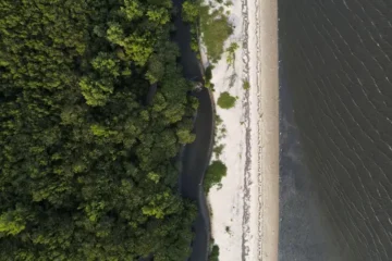 Especialistas alertam para impactos ambientais de obras de contenção e alargamento de praias