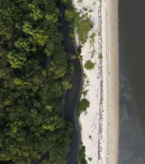 Especialistas alertam para impactos ambientais de obras de contenção e alargamento de praias