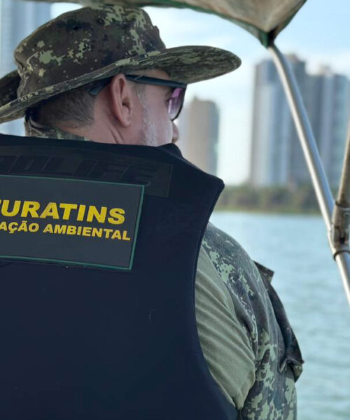 Naturatins encerra defeso da piracema no Tocantins, mas mantém restrições e reforça fiscalização