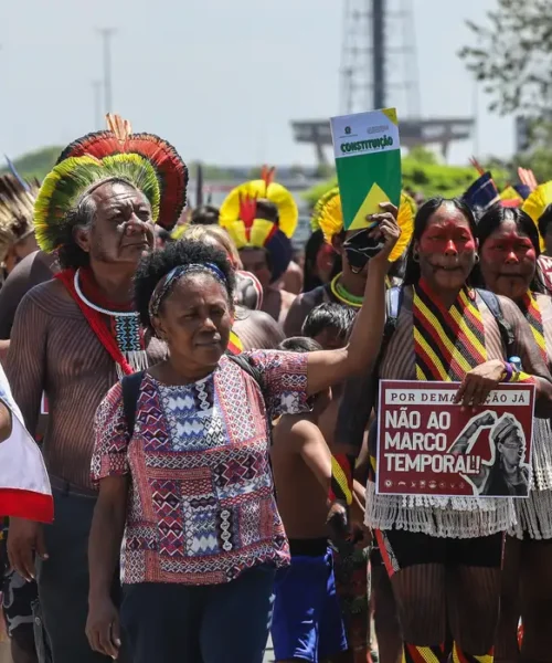 Organizações denunciam quase 50 propostas no Congresso com riscos à proteção ambiental