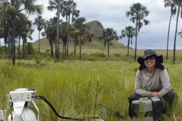 Estudo aponta que áreas úmidas do Cerrado podem armazenar mais carbono que a Amazônia