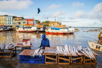 Peixes contaminados representam risco à saúde de ribeirinhos na Amazônia, aponta estudo