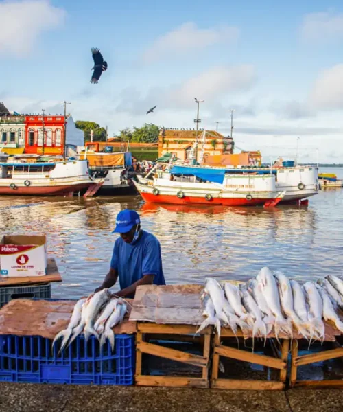 Peixes contaminados representam risco à saúde de ribeirinhos na Amazônia, aponta estudo
