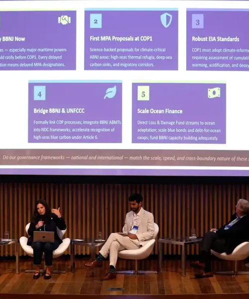 Impactos da emergência climática nos oceanos preocupam cientistas e ameaçam segurança alimentar