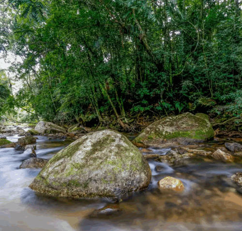 Governo federal lança plano para fortalecer gestão ambiental no Brasil até 2036
