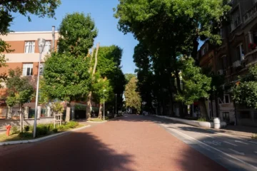 Morar em ruas arborizadas pode reduzir risco cardiovascular, aponta estudo internacional