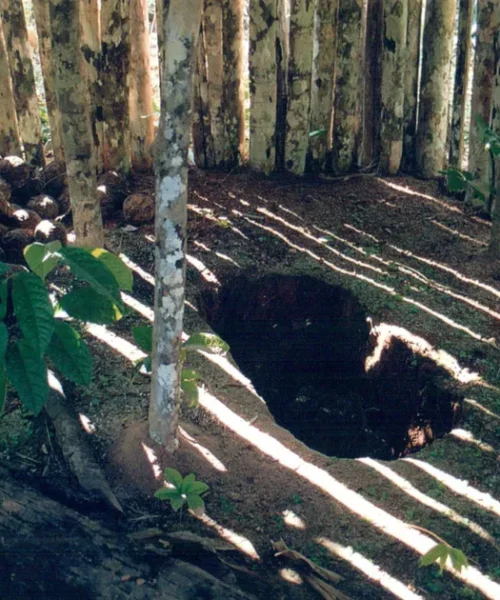 Território do “Índio do Buraco” deve se tornar área de proteção integral em Rondônia