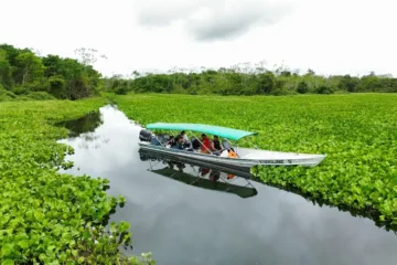 Pará avança na elaboração de planos de gestão e amplia participação social em áreas protegidas