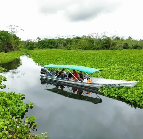 Pará avança na elaboração de planos de gestão e amplia participação social em áreas protegidas
