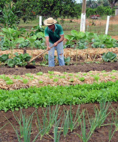 Nova parceria acelera acesso ao crédito rural e fortalece agricultura familiar em Rondônia
