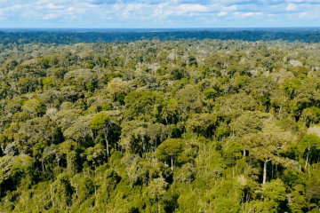 Acre registra queda de 90% nas queimadas no primeiro trimestre de 2026, segundo dados do INPE