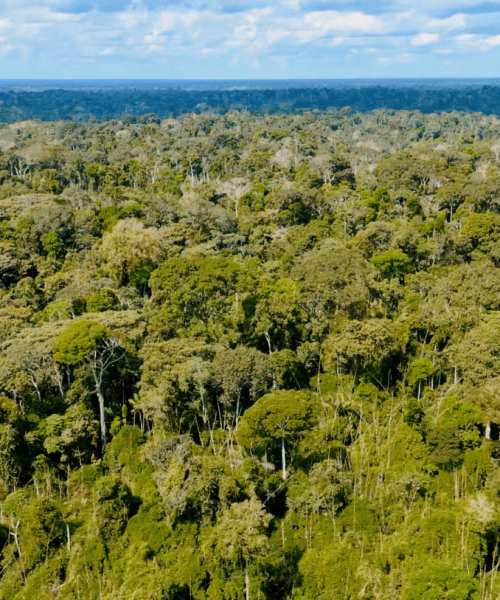 Acre registra queda de 90% nas queimadas no primeiro trimestre de 2026, segundo dados do INPE