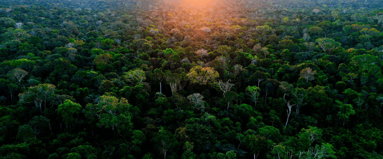 Acre amplia produção agrícola e reduz desmatamento em modelo que busca conciliar economia e conservação