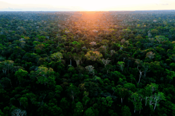 Acre amplia produção agrícola e reduz desmatamento em modelo que busca conciliar economia e conservação
