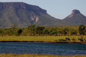 Naturatins completa 37 anos e amplia modernização na gestão ambiental no Tocantins