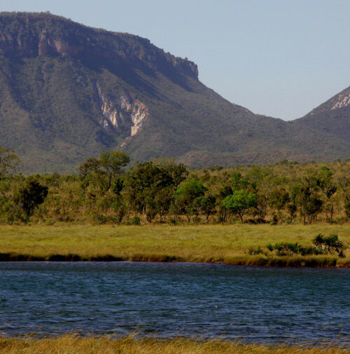 Naturatins completa 37 anos e amplia modernização na gestão ambiental no Tocantins